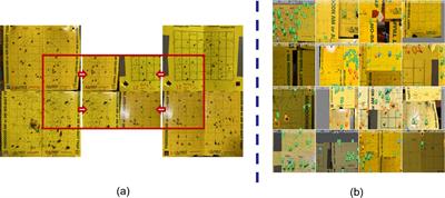 Persistent monitoring of insect-pests on sticky traps through hierarchical transfer learning and slicing-aided hyper inference